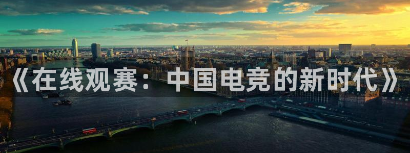 星欧娱乐怎么注册：《在线观赛：中国电竞的新时代》