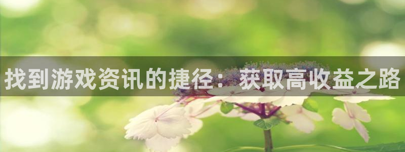 星欧娱乐网页版地址：找到游戏资讯的捷径：获取高收益之路