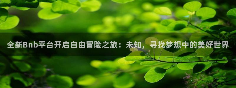 星欧娱乐app下载地址：全新Bnb平台开启自由冒险之旅：未知