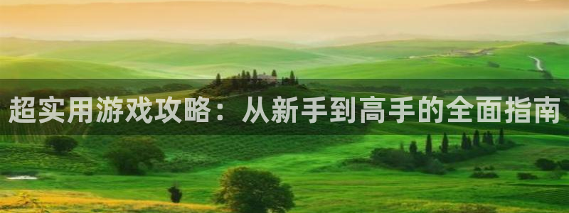 星欧娱乐代理登陆：超实用游戏攻略：从新手到高手的全面指南