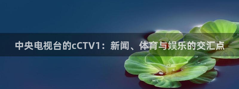 足协杯五星体育转播吗：中央电视台的cCTV1：新闻、体育与娱乐的交汇点